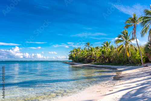 Fototapeta Naklejka Na Ścianę i Meble -  Dominican Republic Punta Cana, beautiful Caribbean sea coast with turquoise water and palm trees