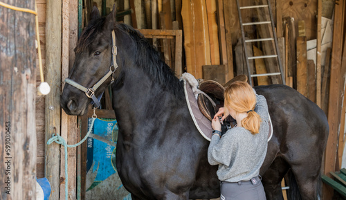 Young teenage girl putting a saddle on a horseback inside a sable. 10 april 2019, Belgium.