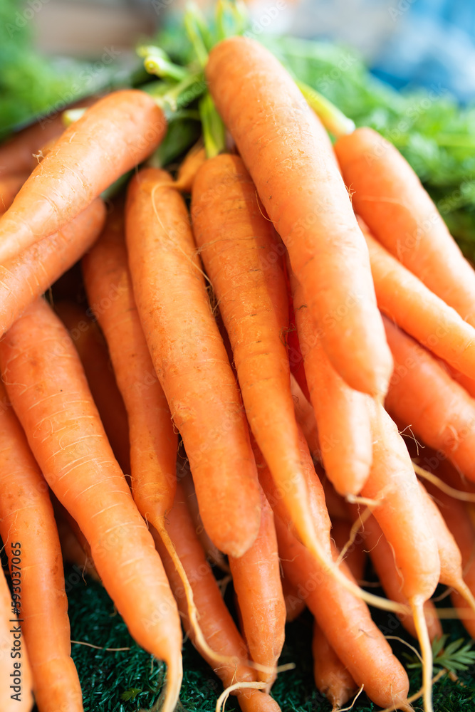 Freshly harvested carrots at weekly market. Gastronomy background with short depth of field. Freshly harvested carrots at weekly market. Gastronomy background with short depth of field.