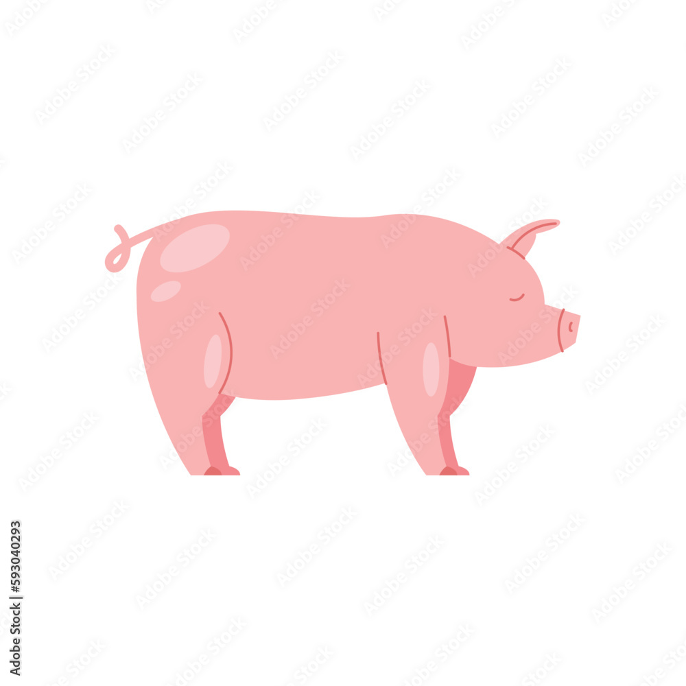 Cute piglet standing Cute piglet standing