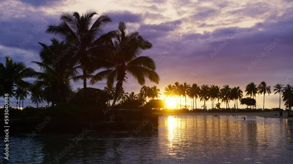 Palm trees silhouette shadow on scenic sunset background, natural palm tree branches swaying in sea breeze. Tropical leaves in morning golden sun light. Beach landscape view in summer sun background Palm trees silhouette shadow on scenic sunset background, natural palm tree branches swaying in sea breeze. Tropical leaves in morning golden sun light. Beach landscape view in summer sun background