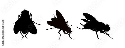 Set of fly silhouettes - vector illustration. Isolated silhouettes of insects