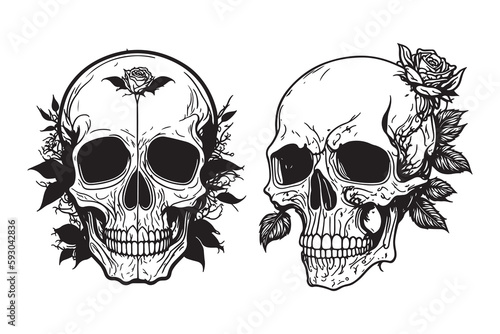 Skull With Rose Flower Black Outline Vector. Human skull with rose sketch drawing, tattoo vector illustration isolated on white background