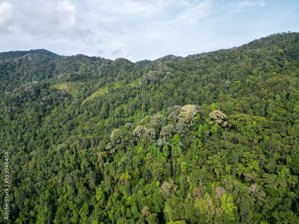 Bird's eye view of mountains covered with green tropical forest on a cloudy day