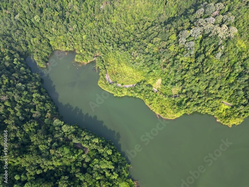 Aerial top view of a lake surrounded by green rainforest on a sunny day