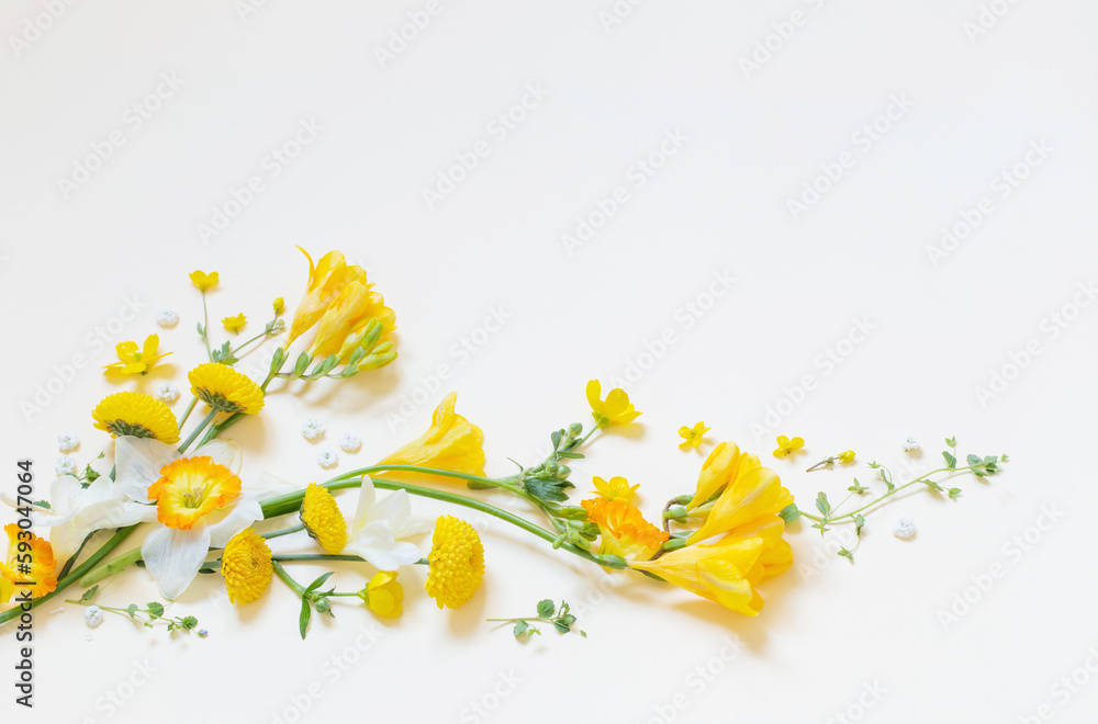 yellow flowers  on yellow paper background