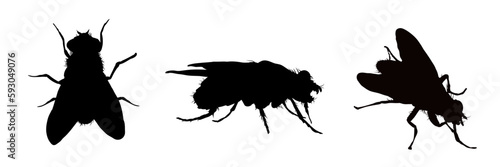 Set of fly silhouettes - vector illustration. Isolated silhouettes of insects