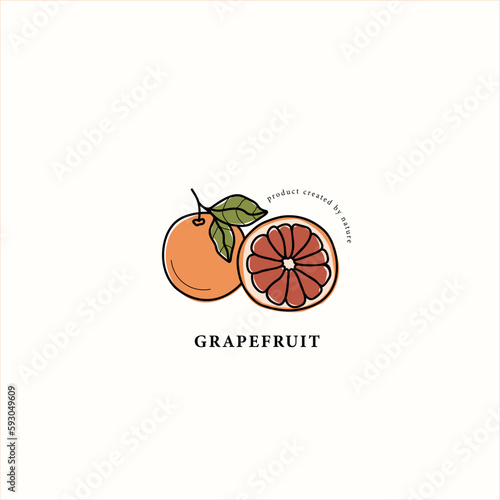 Line art grapefruit branch drawing	
