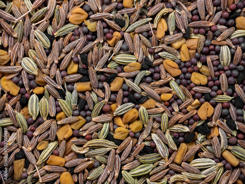 Panch phoron (Indian Five Spice Blend) Eastern India and Bangladesh and consists of the following seeds: Cumin, Brown Mustard, Fenugreek, Nigella and Fennel. photo