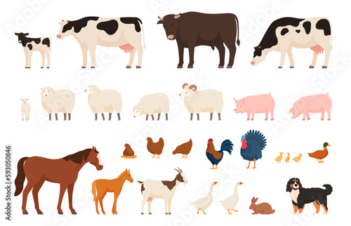 Leinwand Poster Various village farm animals