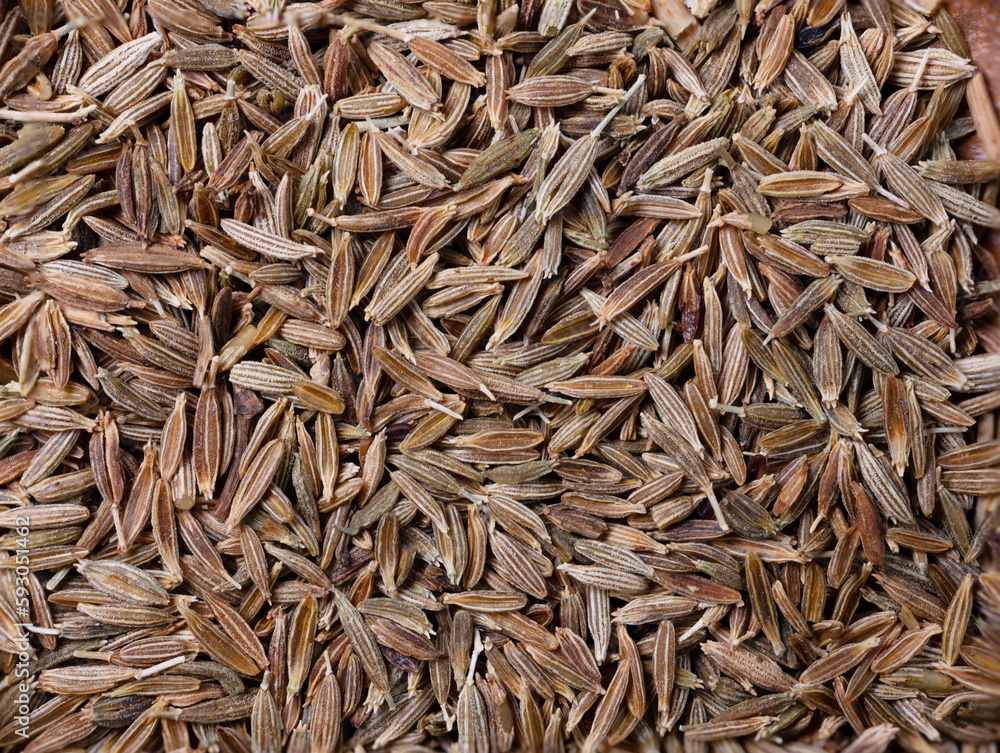 Pile of cumin seeds very close up food background Pile of cumin seeds very close up food background