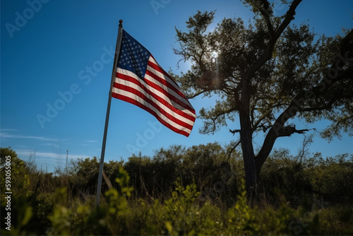 USA flag on the background of trees