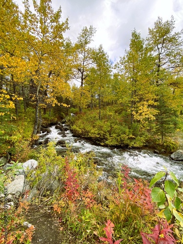 Rocky creek bed in an Autumn landscape scene