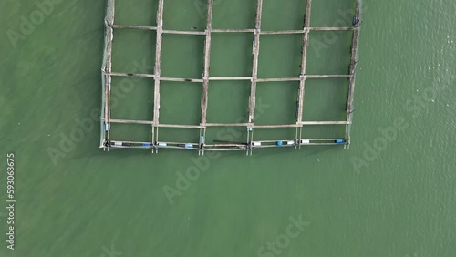 Aerial look down kelong fish farm at sea photo