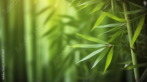 Relaxing lush green bamboo grove background. Based on Generative AI