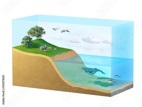 Tableau sur toile Biosphere diagram