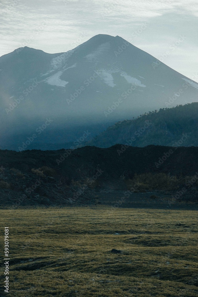 Fototapeta premium Parque Nacional Conguillío, 9na región de chile