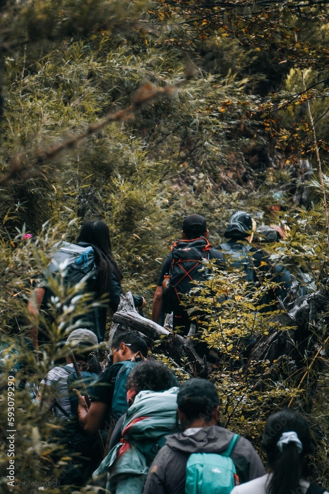 Parque Nacional Conguillío, 9na región de chile