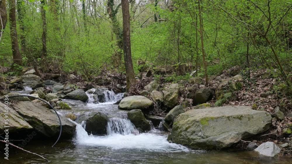 Spring view of Waterfall at Crazy Mary River, Belasitsa Mountain, Bulgaria Spring view of Waterfall at Crazy Mary River, Belasitsa Mountain, Bulgaria