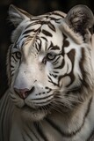 Close-Up of a Majestic White Bengal Tiger in its Natural Habitat: A Magnificent Felino Predator of the Wild: Generative AI