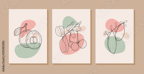Abstract wall art collection with Guava, Finger Lime and tasty longan. Set of fruits with organic shapes for print, wallpaper, interior, poster, cover, banner. Vector illustration