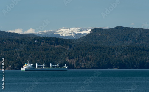 Cargo ship near Fullford Harbour photo