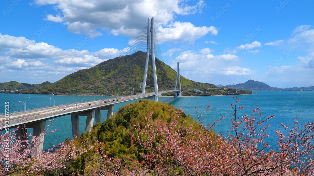 Fototapeta premium 大三島多々羅展望台からの多々羅大橋1