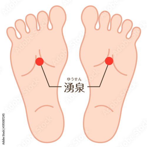 Foot reflexology chart illustration