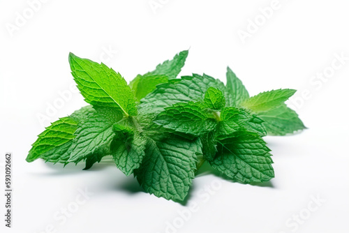 mint leaves isolated on white background 