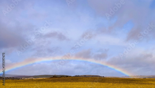 rainbow in the wheat field on a rainy and sunny day horizontal landscape photo