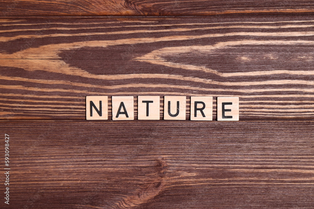 Word nature, lettering top view, wooden background