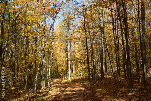 Sentier de la Presqu ile  Montreal