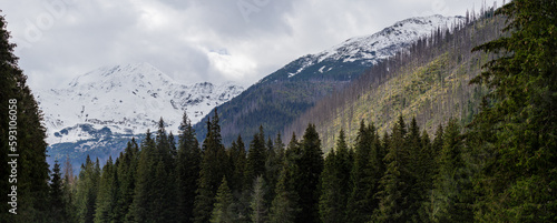 View of the Western Tatras from the Koscieliska Valley and the Iwaniecka Pass