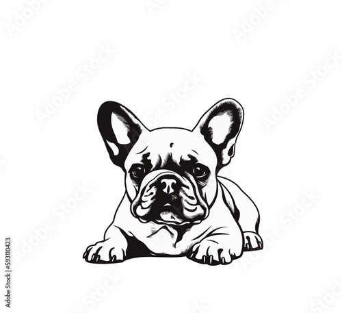 Black and white vector illustration of bulldog puppy isolated on white background