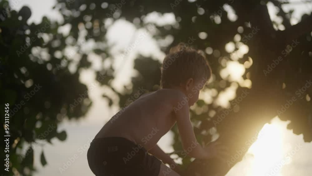 Little Boy Slowly Climbing A Tree At Sunset Little Boy Slowly Climbing A Tree At Sunset