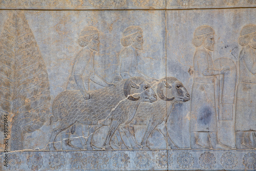 Assyrians on Eastern Stairway of Apadana, Persepolis, Iran