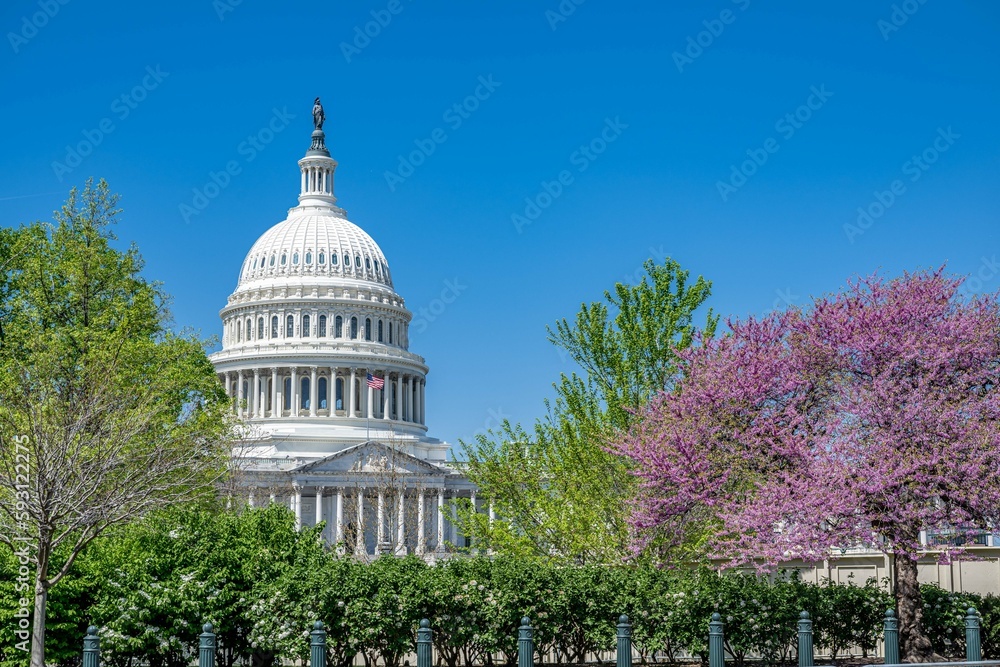Naklejka premium capitol building in spring, washington dc
