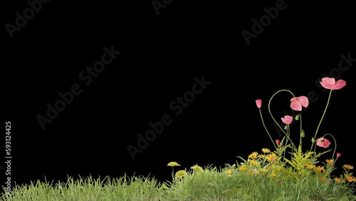 grass field footage with wind plant animation transparent background design, 3d illustration rendering