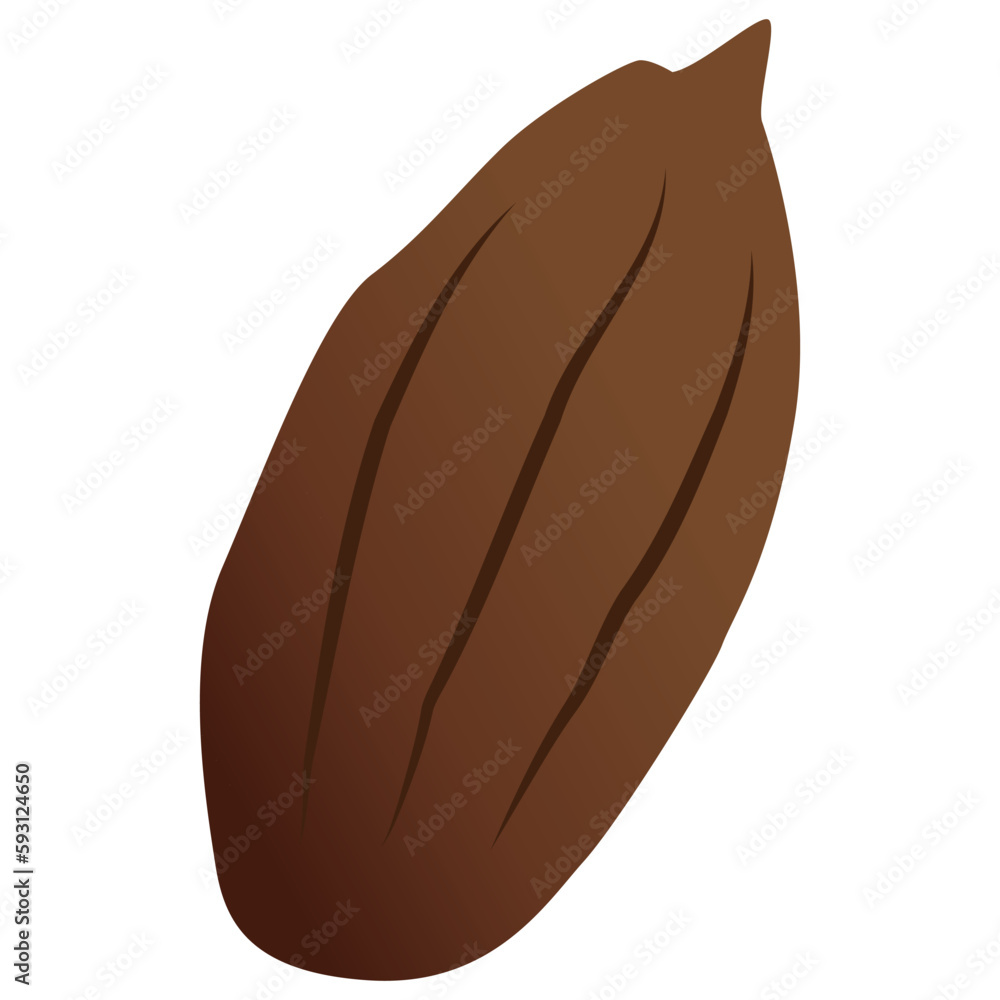 シンプルなカカオ豆のイラスト シンプルなカカオ豆のイラスト