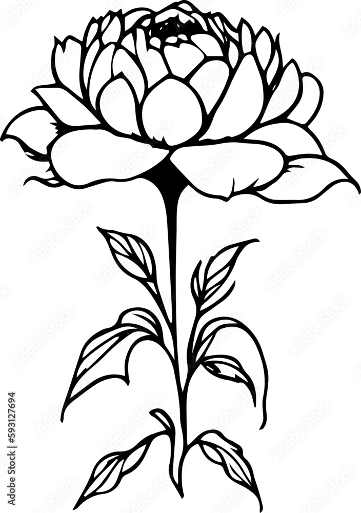 Obraz premium nature line art drawing flower doodle