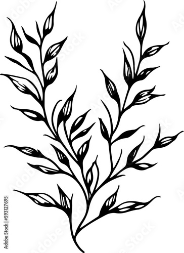 nature line art drawing leaves doodle