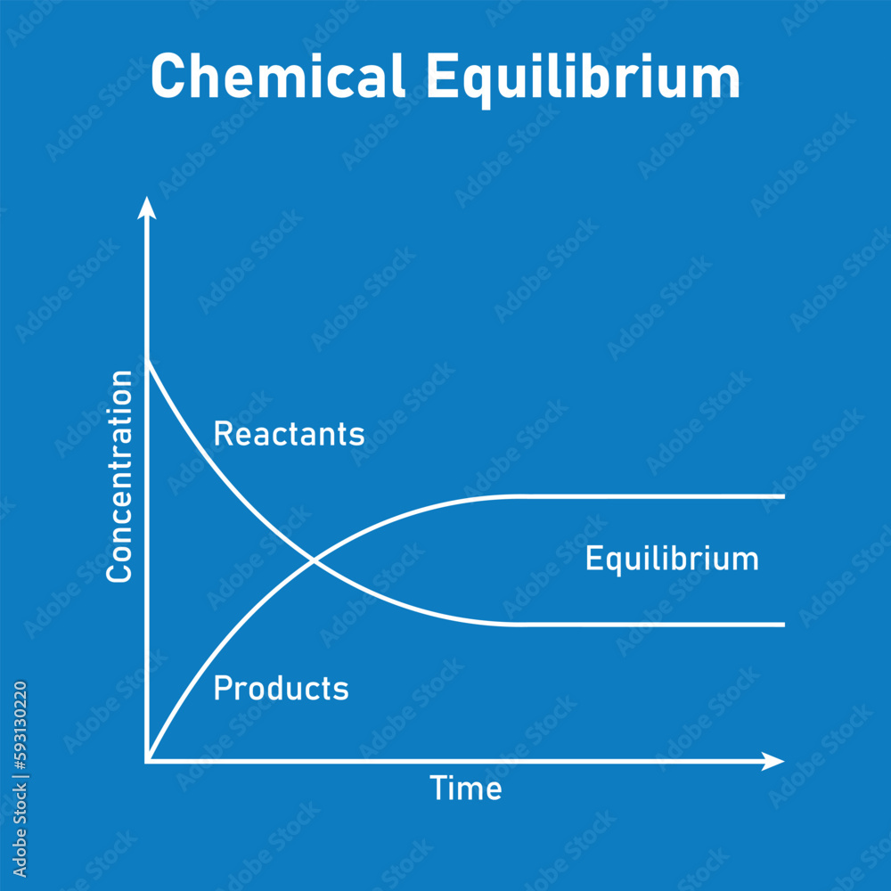 State of chemical equilibrium in reaction. Time concentration graph