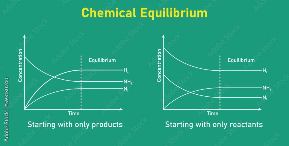 State of chemical equilibrium in reaction. Time concentration graph
