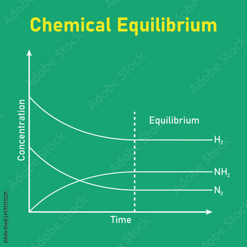 State of chemical equilibrium in reaction. Time concentration graph. Vector illustration isolated on chalkboard.