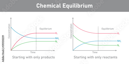 State of chemical equilibrium in reaction. Time concentration graph. Vector illustration isolated on white background.