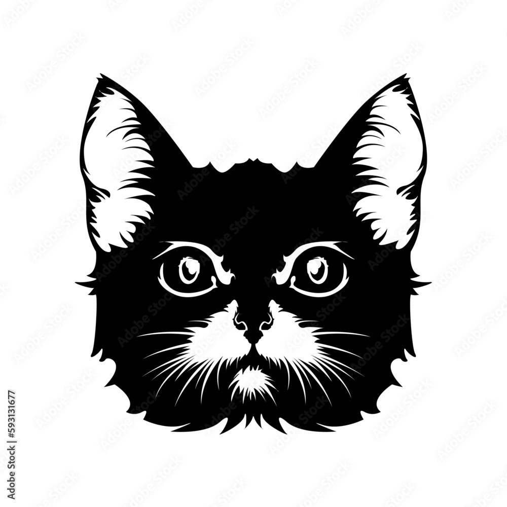 Black and white portrait of a straight-faced cat, closeup, isolated, on a white background Black and white portrait of a straight-faced cat, closeup, isolated, on a white background