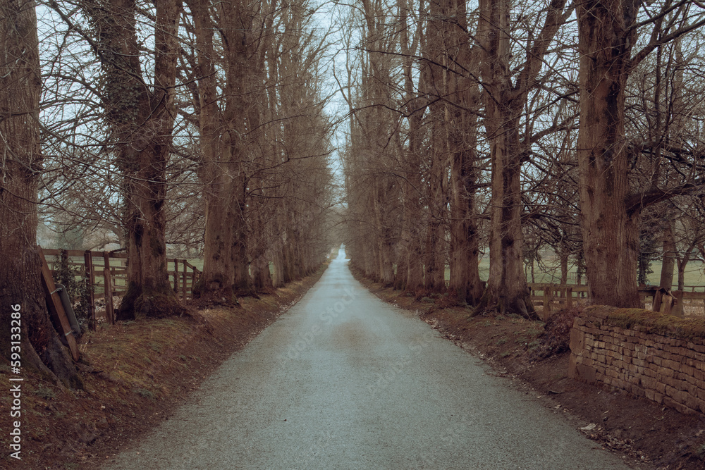 Obraz premium English country road