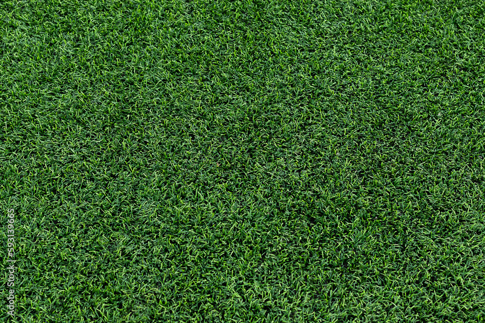 Obraz premium Green grass of soccer field pattern and texture for background.