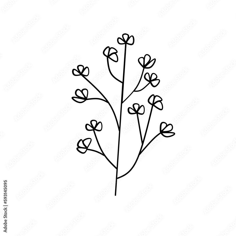 Cute flower botanical floral vector illustration outline hand drawn style design