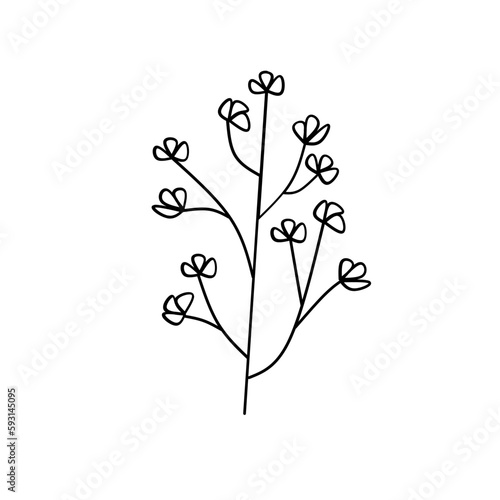 Fototapeta Naklejka Na Ścianę i Meble -  Cute flower botanical floral vector illustration outline hand drawn style design